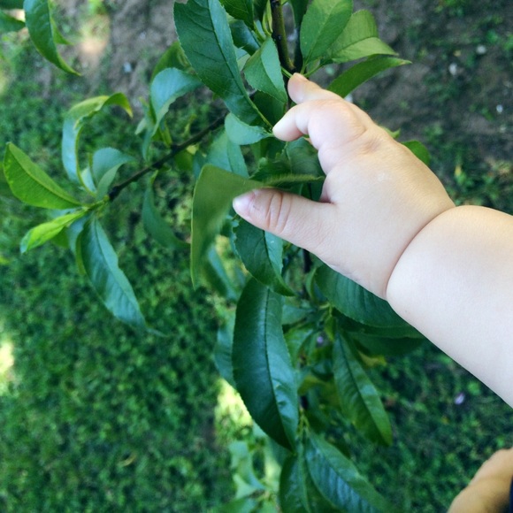 Thank you - Picture 2 of 2